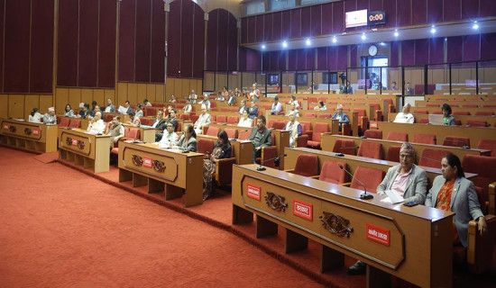 राष्ट्रिय सभाको बैठकमा बजेटमाथि छलफल