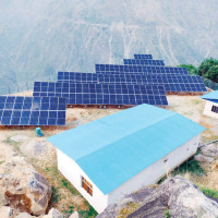 कालिमाटीको ३० हजार किलो गोलभेडा  सडकमा फालियो
