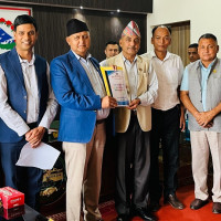 न्युजिल्यान्डमा अझै पनि मानिसभन्दा भेडा बढी
