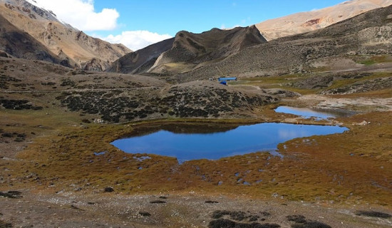 दामोदरकुण्डमा लेक लागेर एक तिर्थयात्रीको मृत्यु