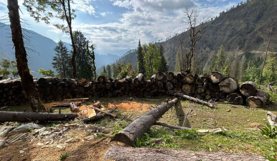 भित्तरगौँडा भीर छिचोलेर सडक