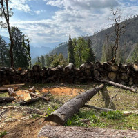 घोडा चढेर मुक्तिनाथ पुग्दै पर्यटक