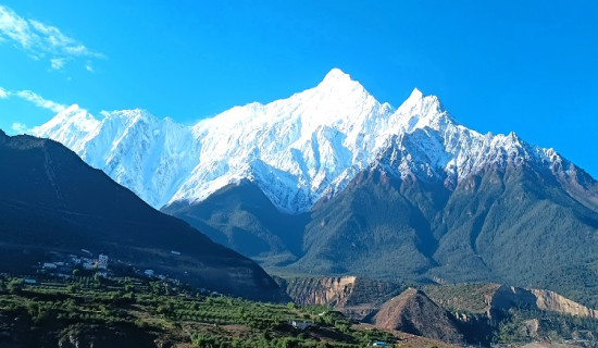 नीलगिरि हिमाल