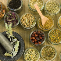 रेसुङ्गाको स्थापना दिवस : कृषकदेखि विद्यार्थी सम्मान