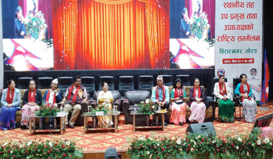 विद्युत् निर्यात सुरु खेर जाने जोखिम कायमै
