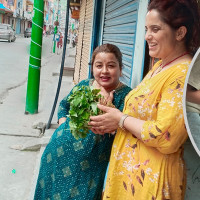 अलैँची थन्क्याउनमा व्यस्त किसान