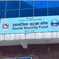 सप्तकोशीमा दुर्लभ डल्फिनको सङ्ख्यामा वृद्धि