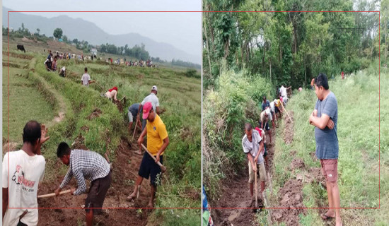 असारे खेतीलाई सिँचाइ गर्न कुलो बनाउन व्यस्त किसान