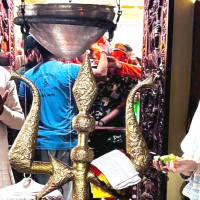 सप्तकोशीमा दुर्लभ डल्फिनको सङ्ख्यामा वृद्धि