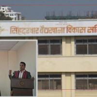 सप्तकोशीमा दुर्लभ डल्फिनको सङ्ख्यामा वृद्धि