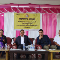 सरुवा हुँदा पालिकामा समस्या