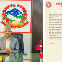 हिमाल मानव जातिका साझा स्रोत हुन् : परराष्ट्रमन्त्री