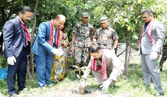 ग्लोबल आइएमई बैङ्कद्वारा वृक्षरोपण