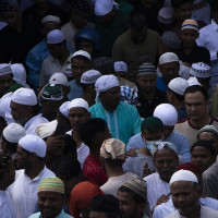 काठमाडौंमा थप ६२ जनामा दादुरासँग मिल्दाजुल्दा लक्षण