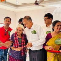 ढकमक्क फुलेको गुलमोहर