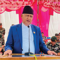 ढकमक्क फुलेको गुलमोहर