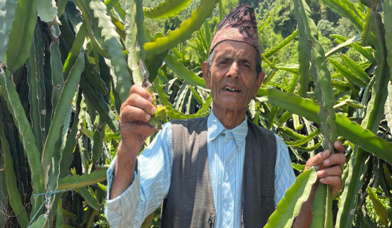 जोखिमयुक्त पुल तर्नुपर्ने बाध्यता