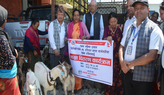 किसुनजी स्मृति हाफ म्याराथनमा विजय र पुष्पा च्याम्पियन