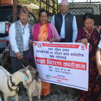 टेको लगाएर पुल सञ्चालन गर्ने तयारी