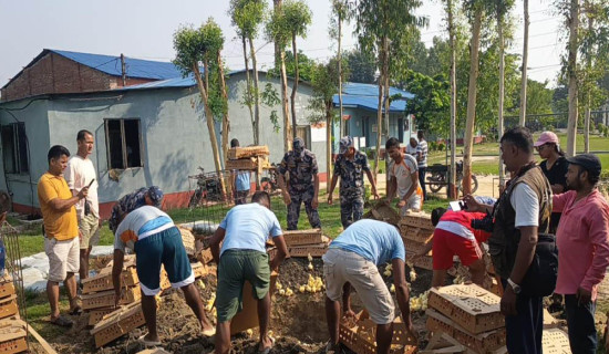 सशस्त्र प्रहरीद्वारा कुखुराका चल्ला बरामद