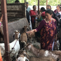 आरोहण क्षेत्र प्रभावित