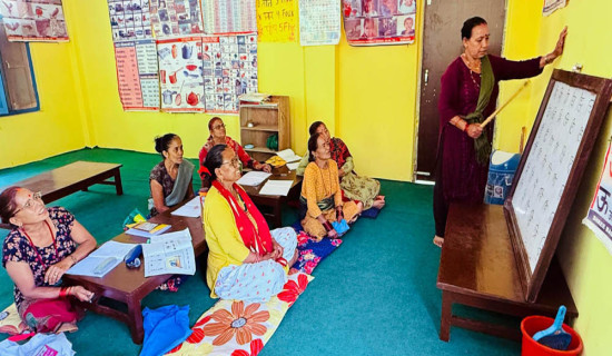 बेनी नगरकार्यपालिकामा गठबन्धनका उम्मेदवार विजयी