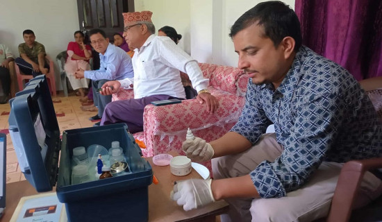 पाल्पामा बस दुर्घटना, दुई जनाको मृत्यु