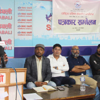 सङ्गीत सुनेर पग्रिन्छन् गाई