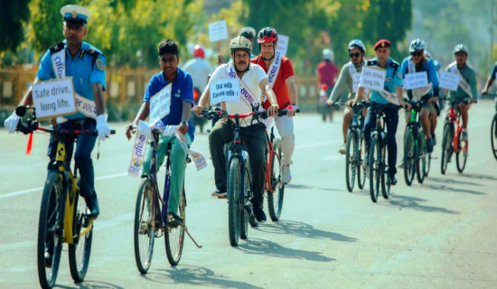 चोरीको आरोपमा एक युवक पक्राउ
