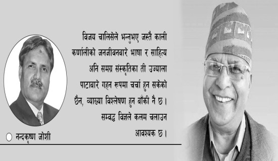 भाषा साहित्यका साधक