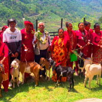 संरक्षण अभावमा ओझेल पर्दै चुरे क्षेत्रका प्राकृतिक ताल