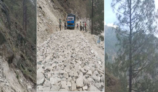 थारु कला संस्कृतिको संरक्षण भएन : मन्त्री चौधरी