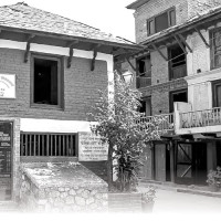 सुन भेटिने बालुवामा प्याज खेती