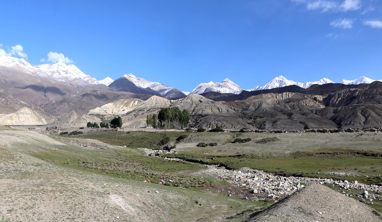 गर्भवती र सुत्केरीलाई निःशुल्क एम्बुलेन्स सेवा