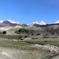 केन्द्रीय सदस्य भट्टराईद्वारा उम्मेद्वार बन्ने घोषणा