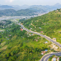 जलकुम्भीले छोपियो फेवाताल