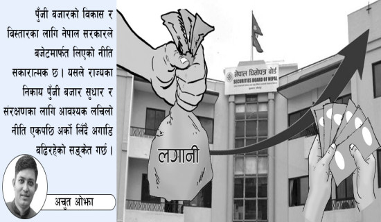 पुँजी बजारप्रति लचकता