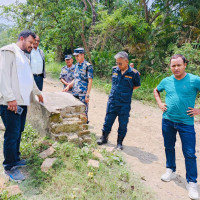 गुल्मीको २२ हजार हेक्टर जमिनमा मकै खेती