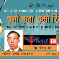 गुल्मीको २२ हजार हेक्टर जमिनमा मकै खेती