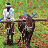 भूकम्प प्रभावित क्षेत्रबाट फर्किंदै दाता