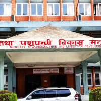 ‘खेल पर्यटनलाई अगाडि बढाउने गण्डकी प्रदेश सरकारको नीति’