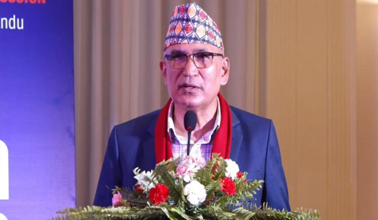 बम्जनलाई पुर्पक्षमा कारागार चलान गर्ने आदेश