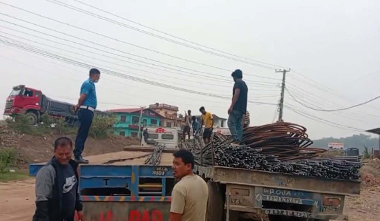 जुम्लामा मार्सीधान रोपाइँ सुरु