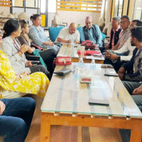 जुम्लामा मार्सीधान रोपाइँ सुरु
