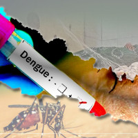 नौवटा पुल सञ्चालनमा आउँदै