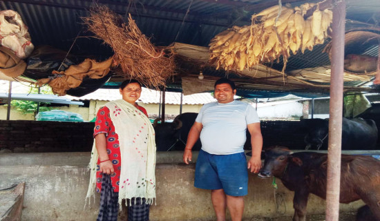 अठार वर्ष विदेश, अन्ततः स्वदेशमै कृषि