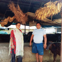 अमेरिकासँग नयाँ वार्ताको योजना बनाएको इरानको भनाइ
