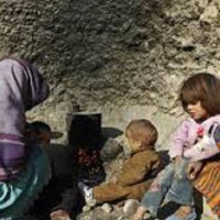 दहखर्कमा चर्दै गरेका भेडाका बथान