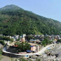 बोका चोर्ने दुईजना पक्राउ