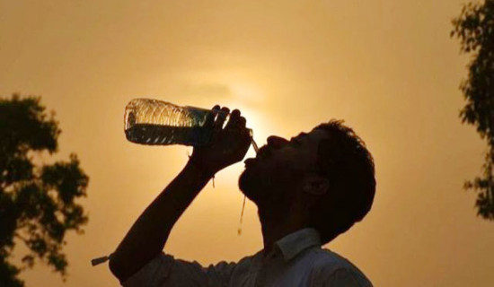 भिजिट भिसामा मानव तस्करी : अध्यागमनका सहसचिव भट्टराई नियन्त्रणमा